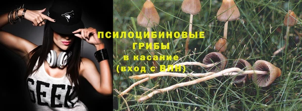 винт Нея