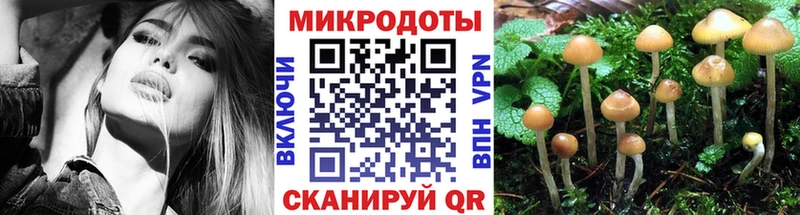 Псилоцибиновые грибы Cubensis  MEGA как зайти  Купино  купить  цена 