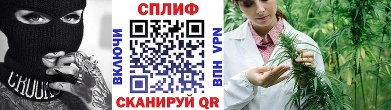 Бошки Шишки план Купино